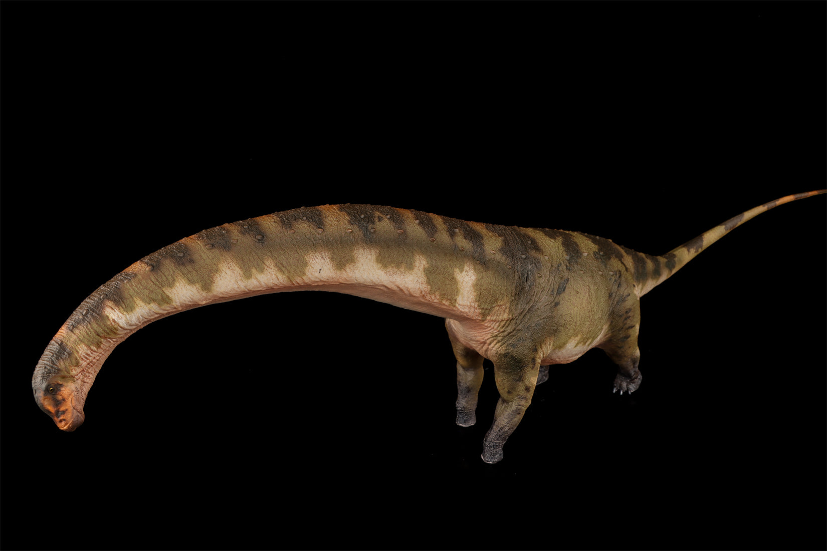 HAOLONGGOOD 1:35 Scale Dreadnoughtus Model