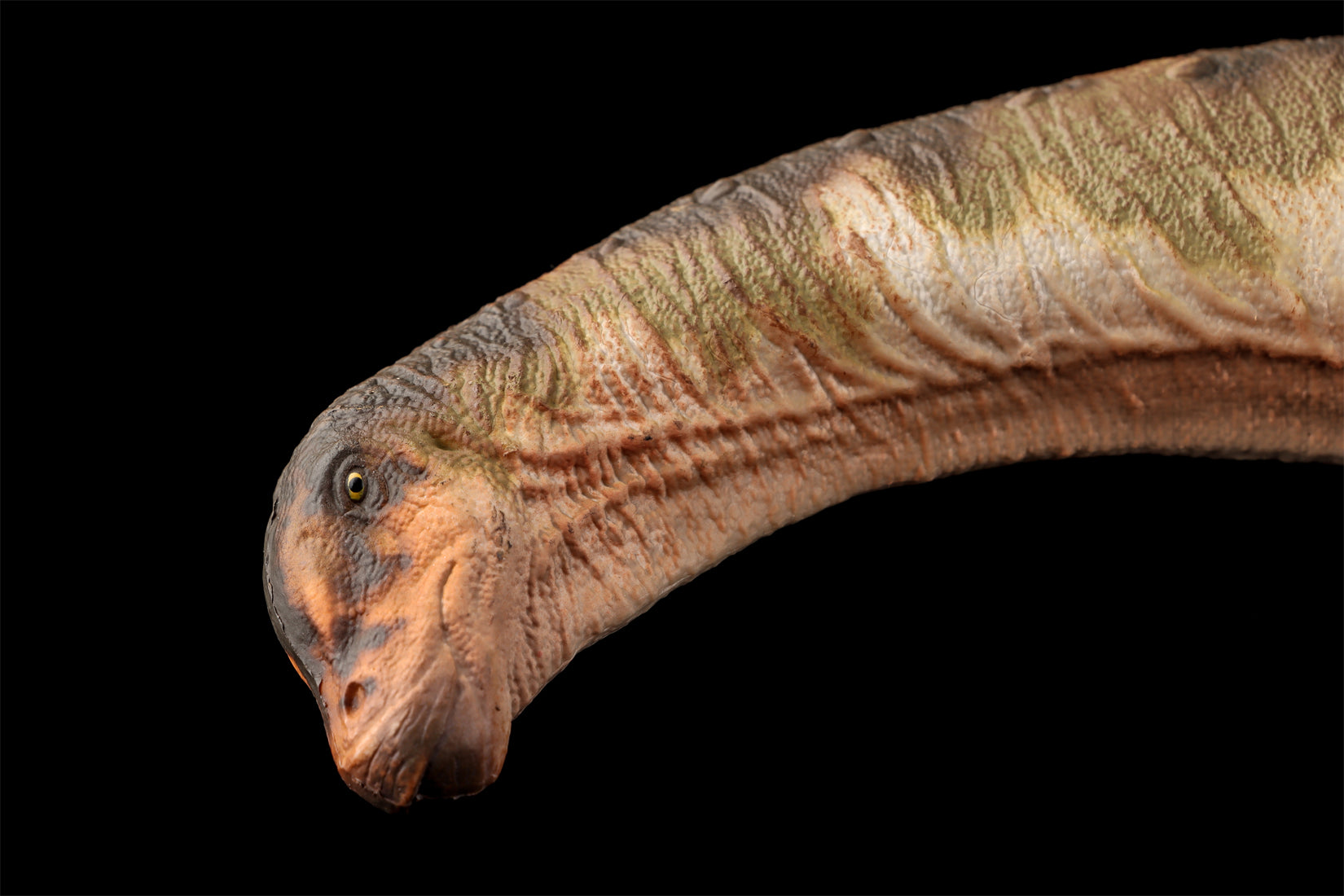 HAOLONGGOOD 1:35 Scale Dreadnoughtus Model