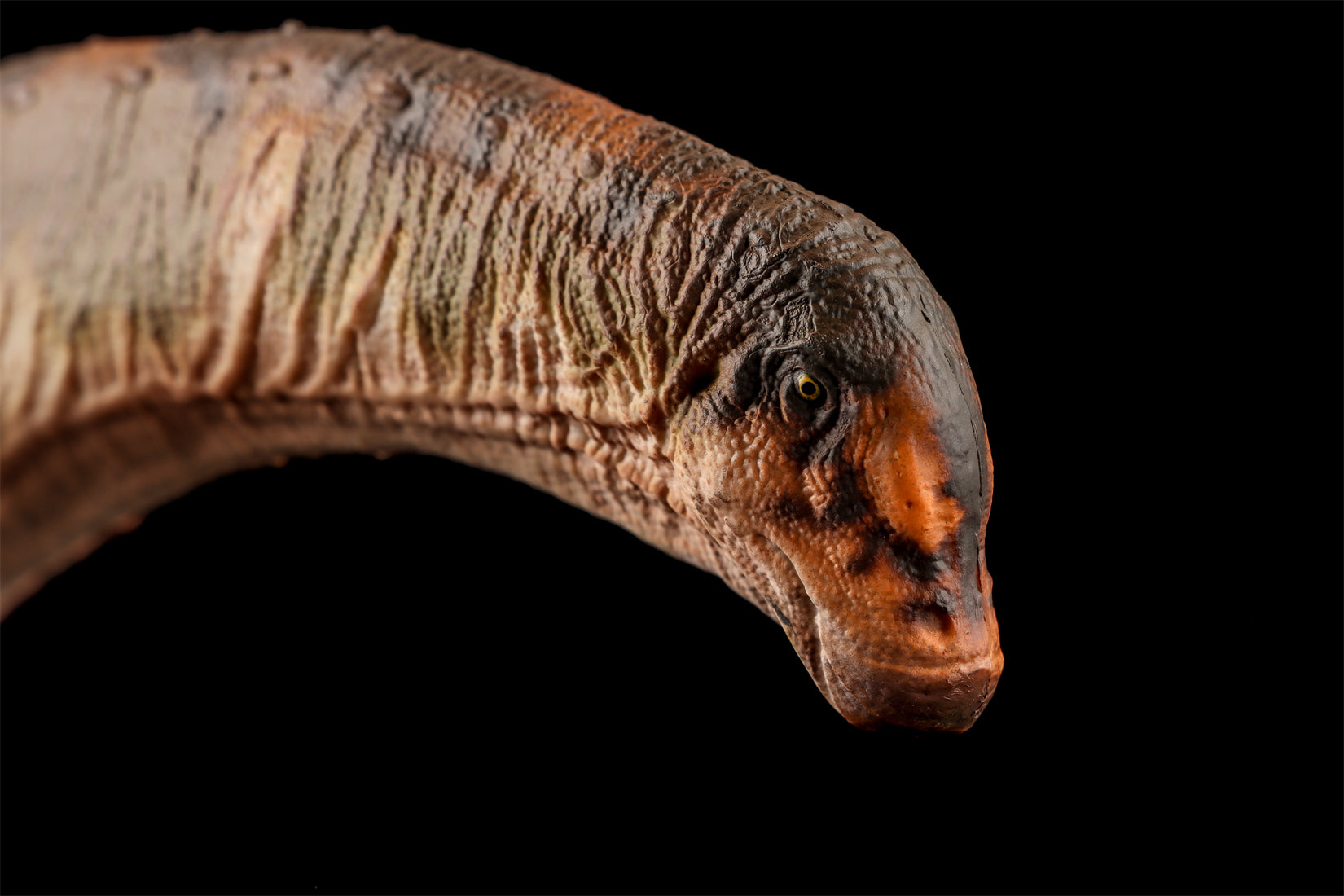 HAOLONGGOOD 1:35 Scale Dreadnoughtus Model