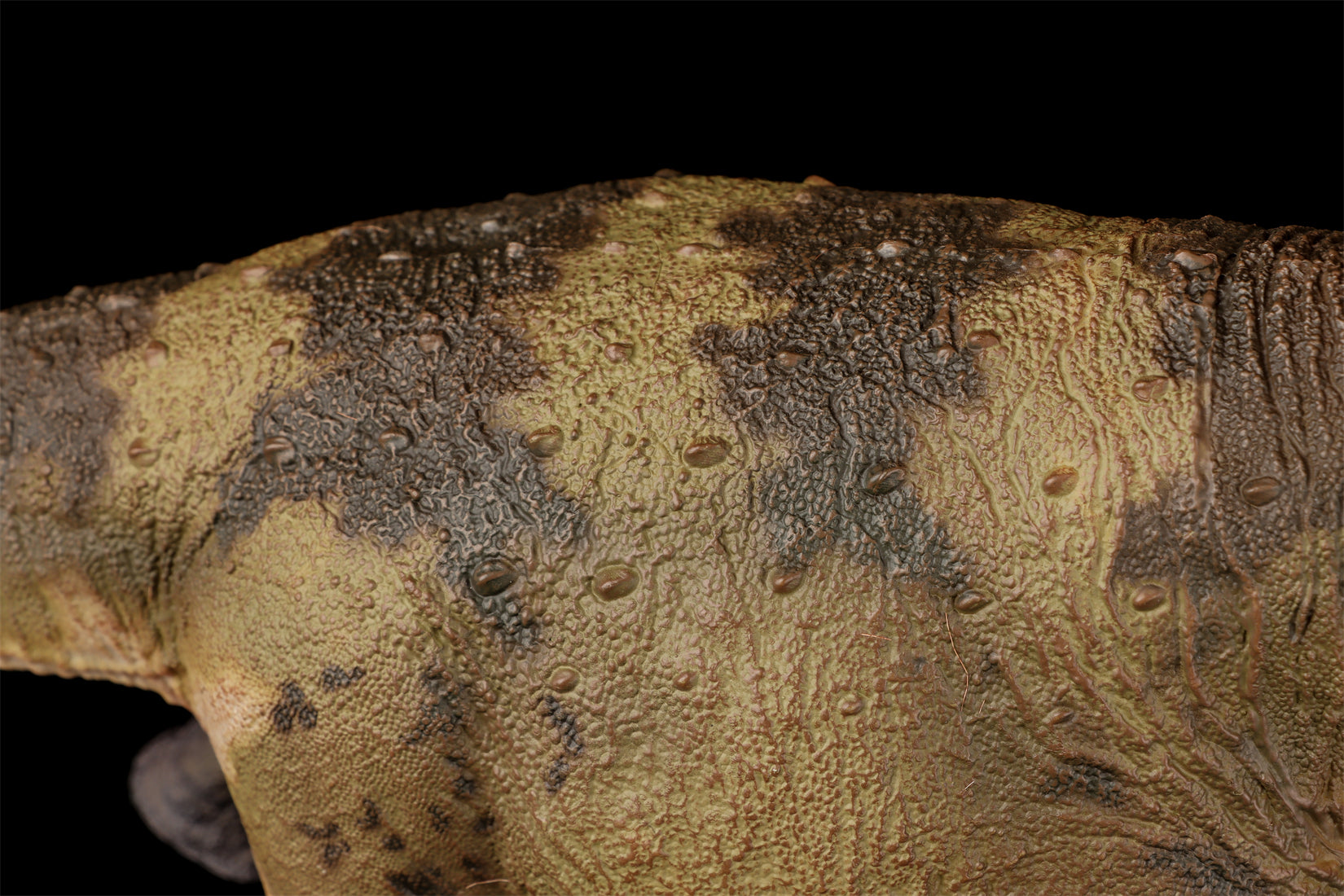 HAOLONGGOOD 1:35 Scale Dreadnoughtus Model