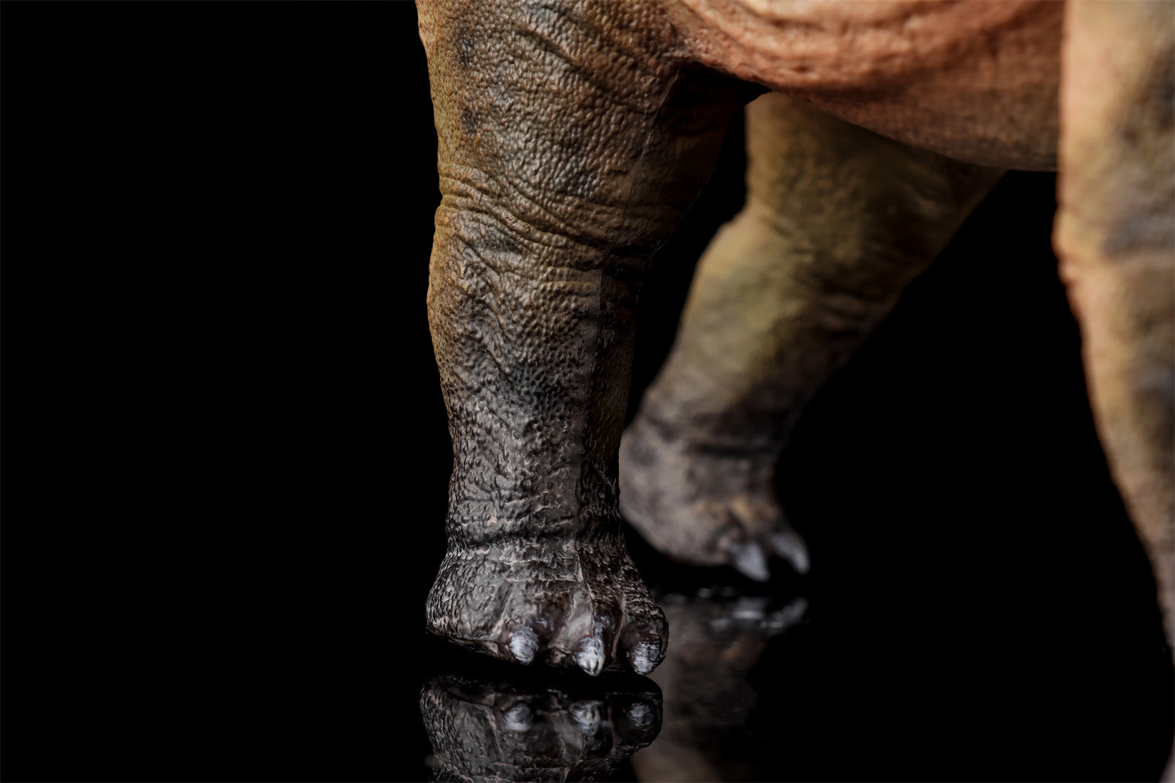 HAOLONGGOOD 1:35 Scale Dreadnoughtus Model