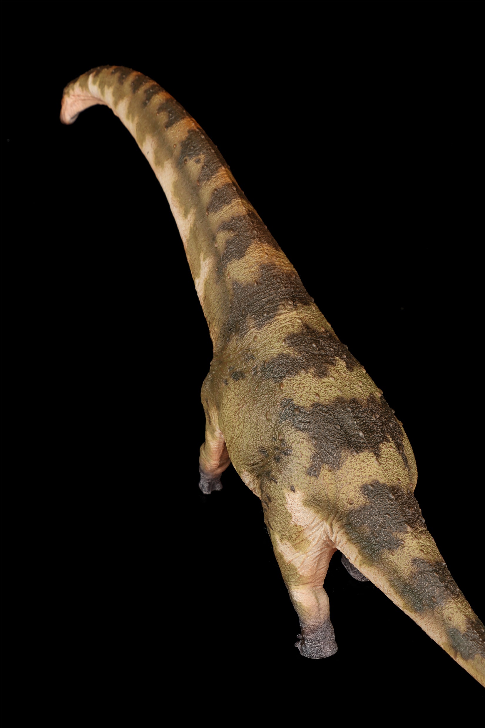 HAOLONGGOOD 1:35 Scale Dreadnoughtus Model