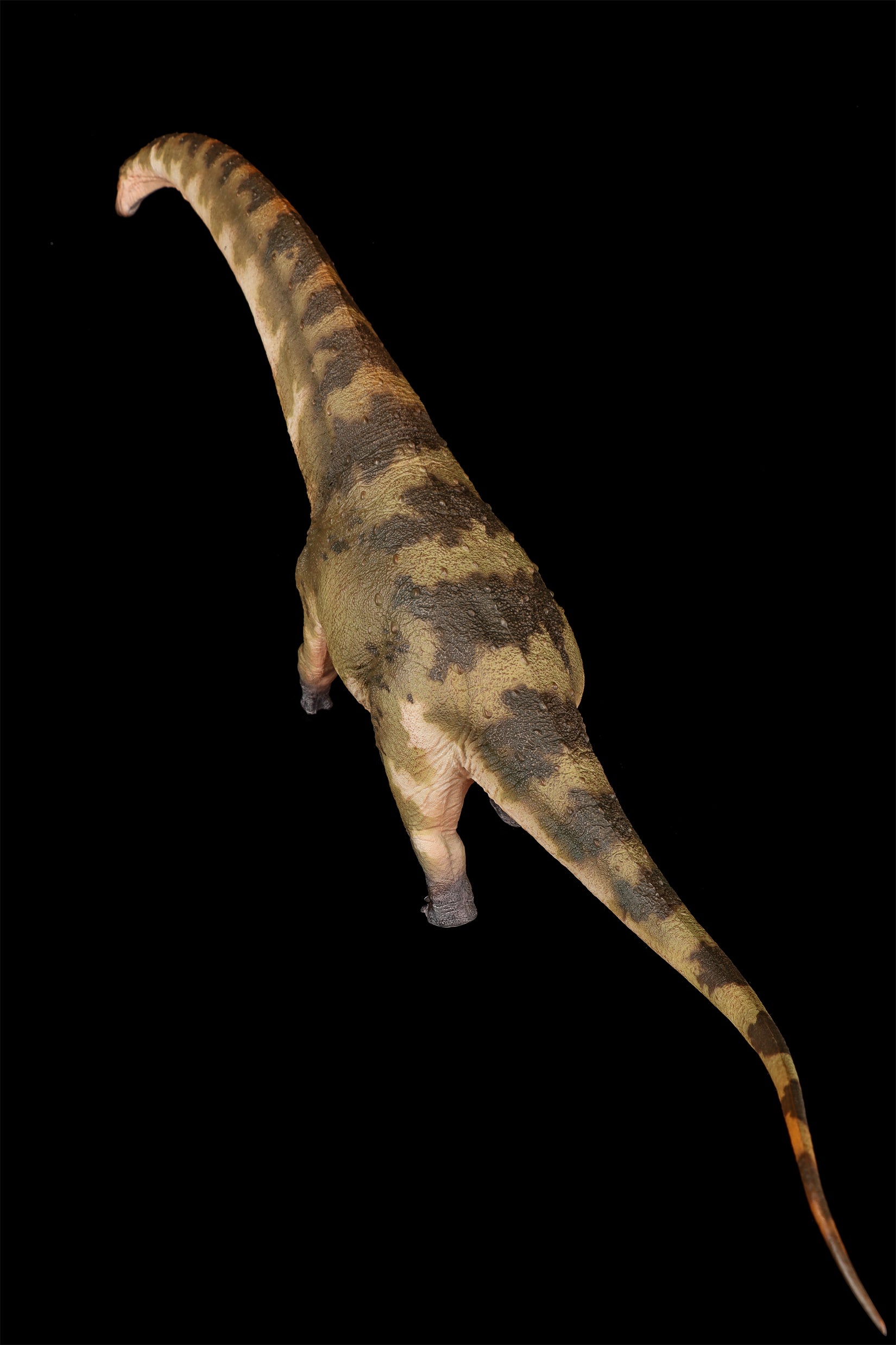 HAOLONGGOOD 1:35 Scale Dreadnoughtus Model