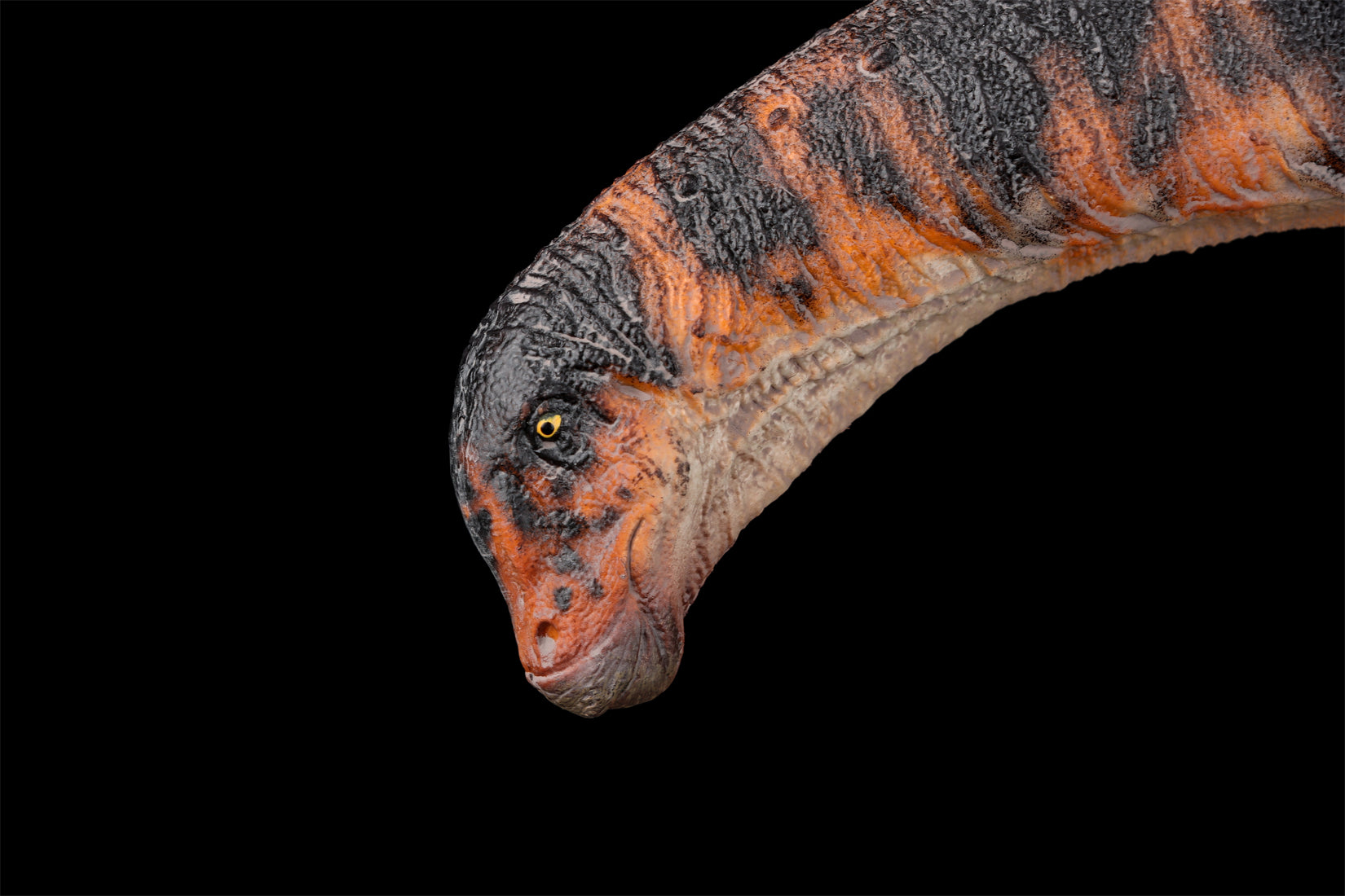 HAOLONGGOOD 1:35 Scale Dreadnoughtus Model
