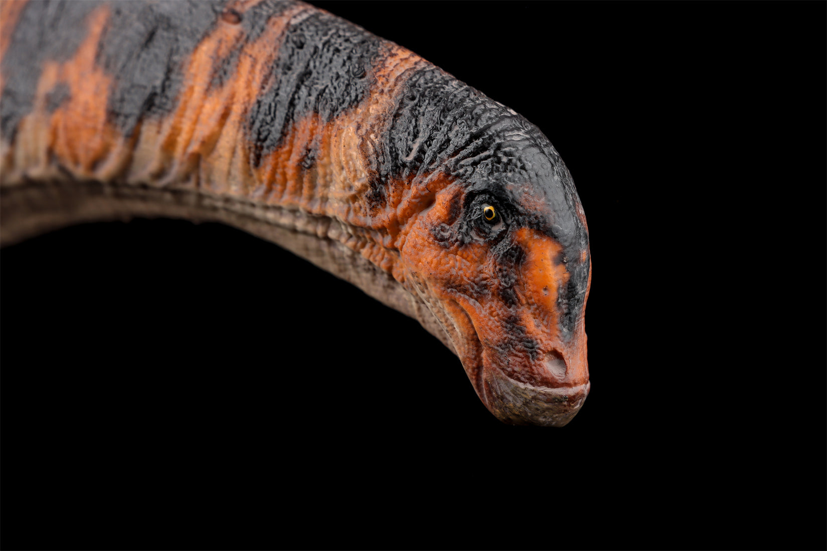 HAOLONGGOOD 1:35 Scale Dreadnoughtus Model
