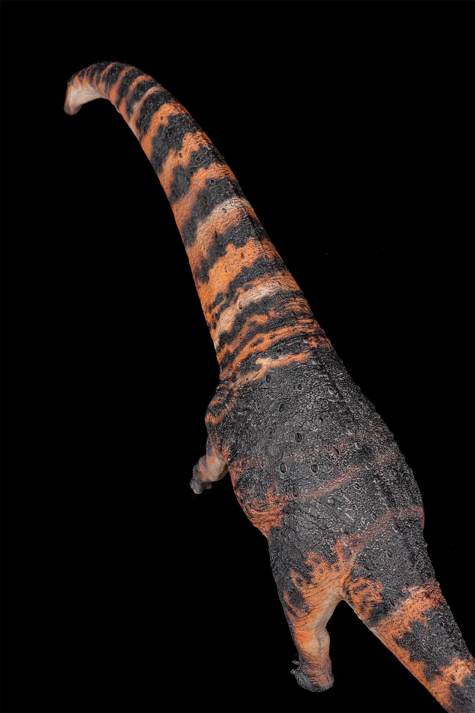 HAOLONGGOOD 1:35 Scale Dreadnoughtus Model