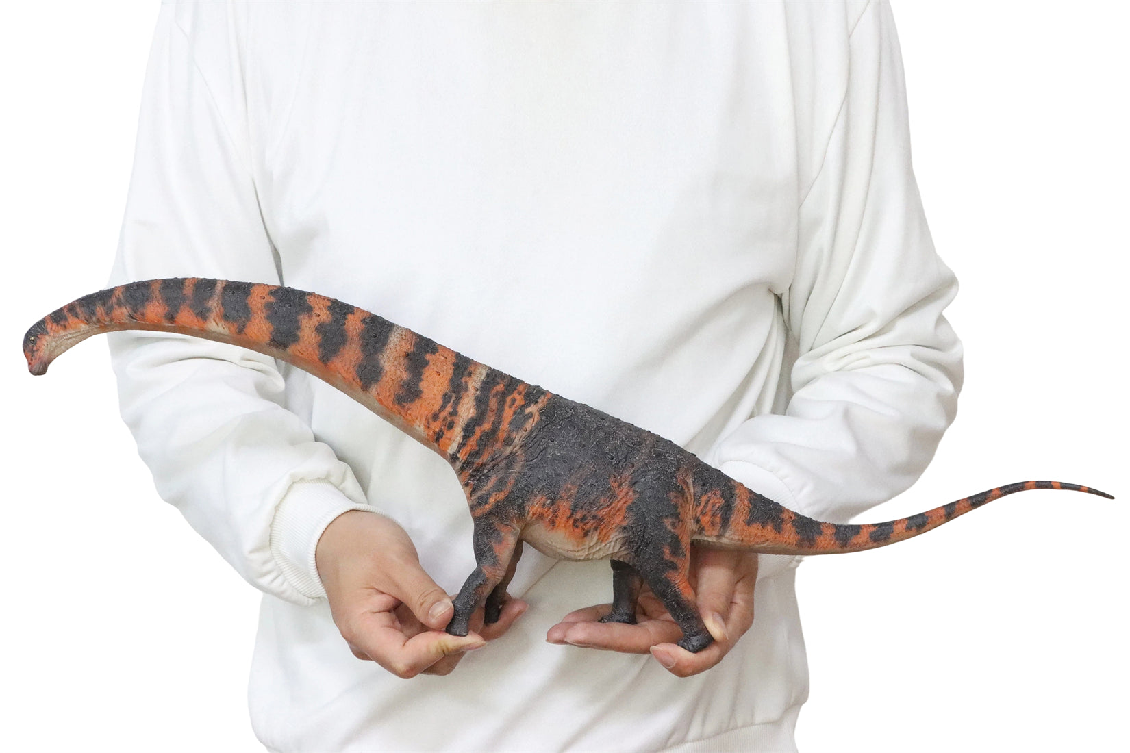 HAOLONGGOOD 1:35 Scale Dreadnoughtus Model