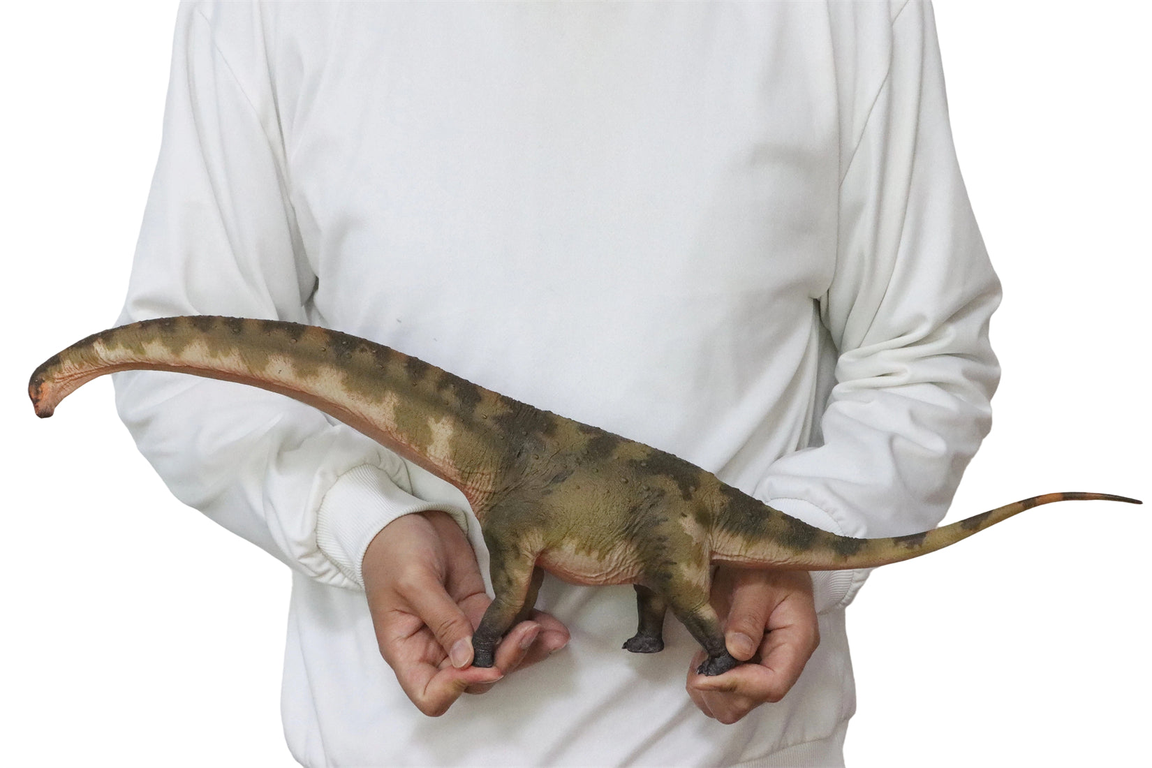 HAOLONGGOOD 1:35 Scale Dreadnoughtus Model