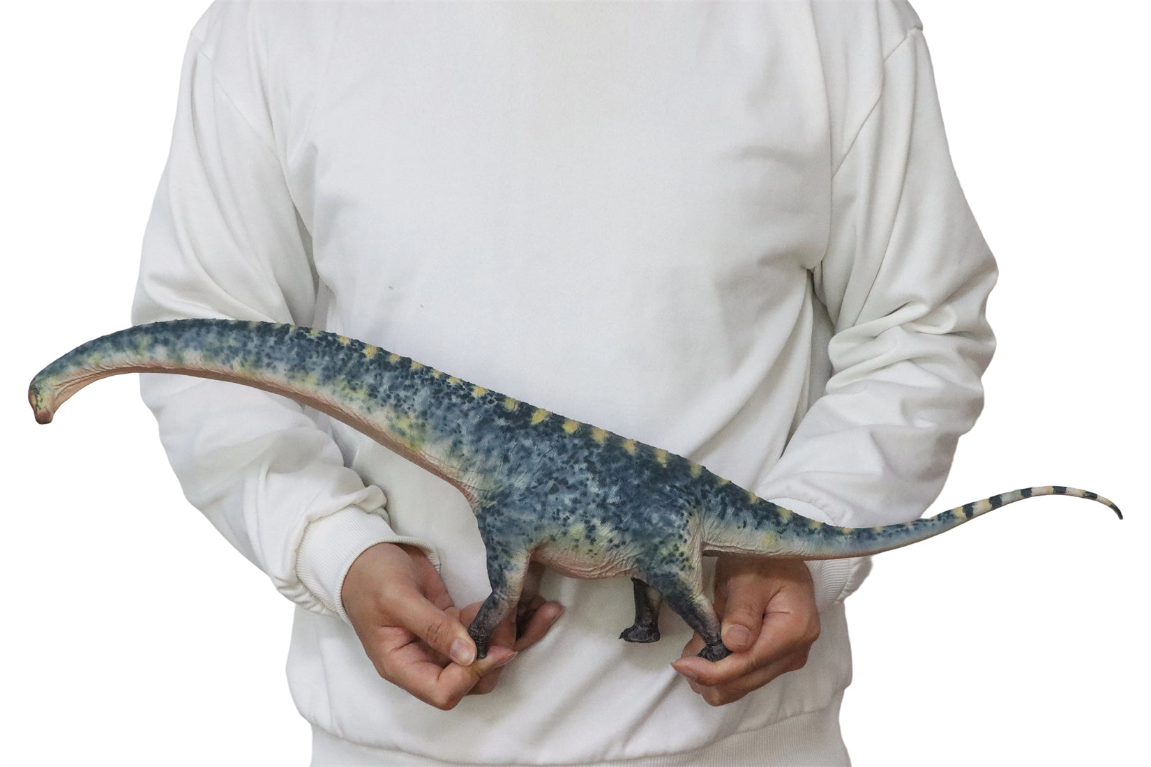 HAOLONGGOOD 1:35 Scale Dreadnoughtus Model