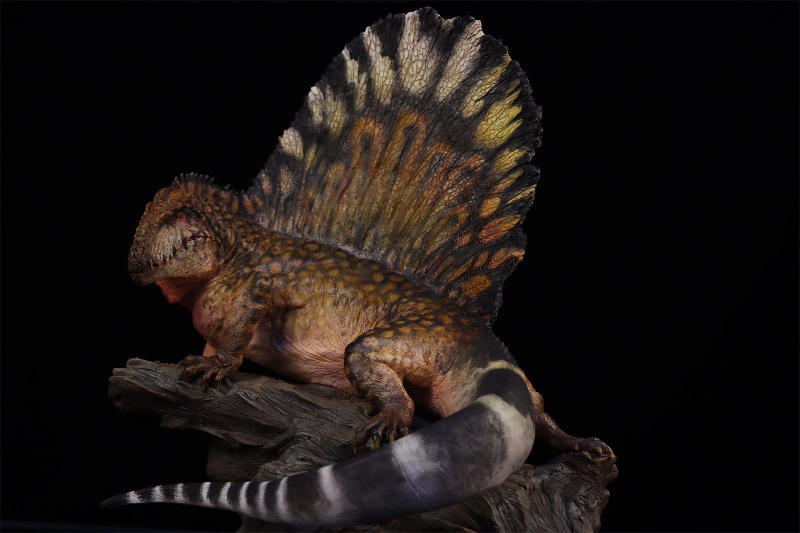 DM 1:5 Dimetrodon Scene Painted Version