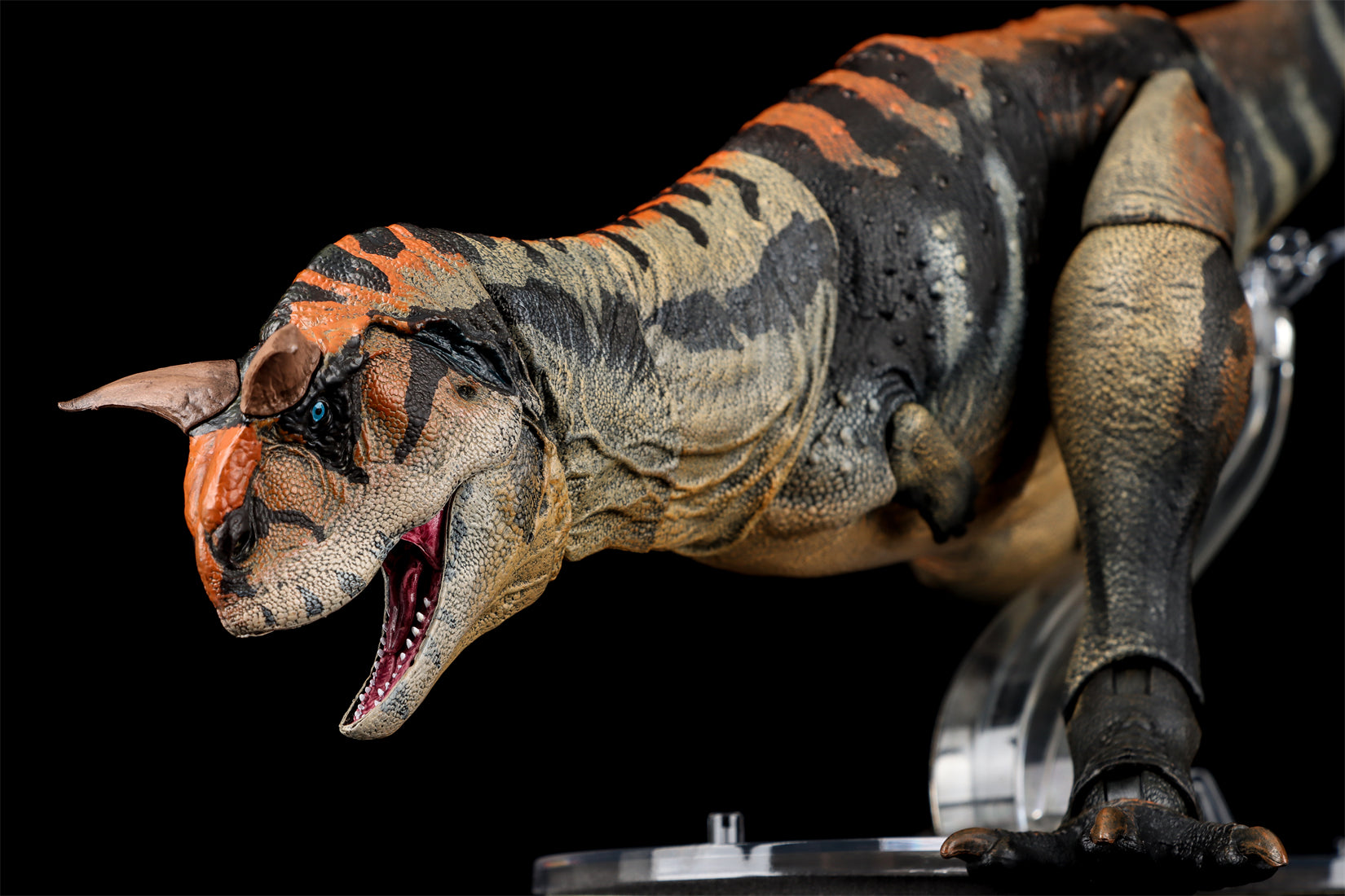 Beasts of the Mesozoic Carnotaurus sastrei - 1/18th scale action figure