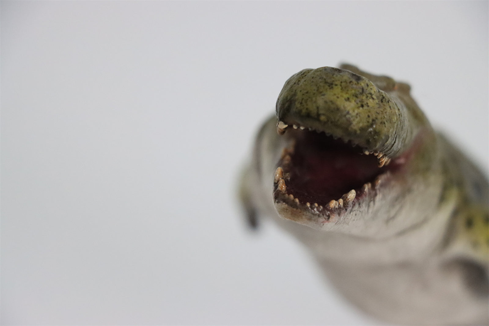 Rheic 1/35 Purussaurus Model Painted Version