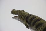 Rheic 1/35 Purussaurus Model Painted Version