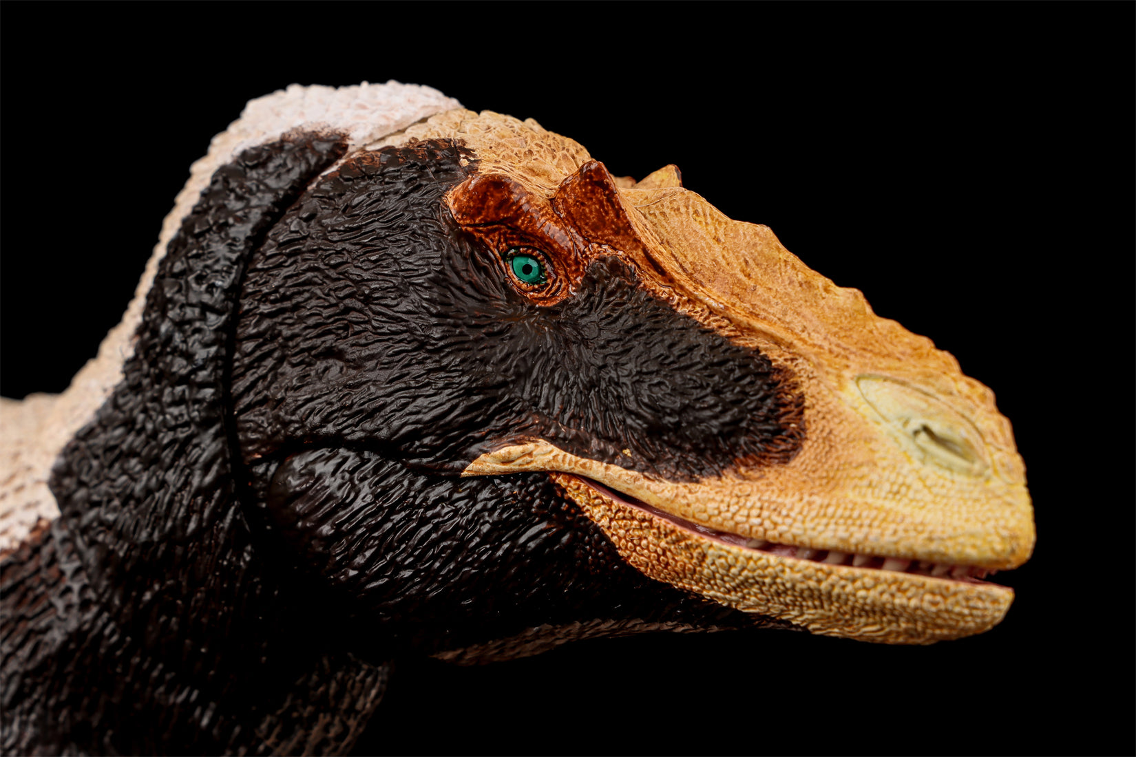 Beasts of the Mesozoic Yutyrannus huali 1/18th scale action figure Upgraded Version