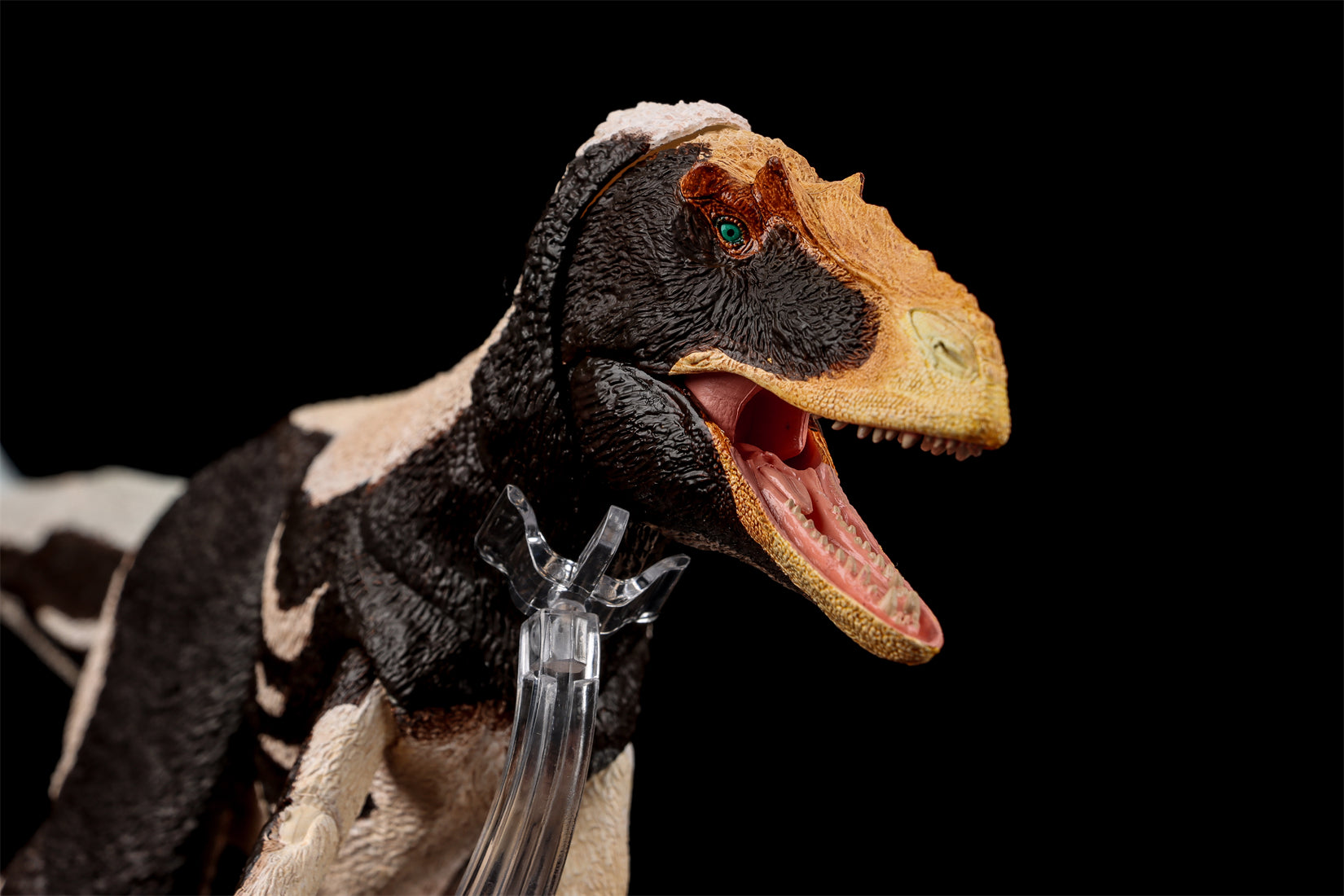 Beasts of the Mesozoic Yutyrannus huali 1/18th scale action figure Upgraded Version