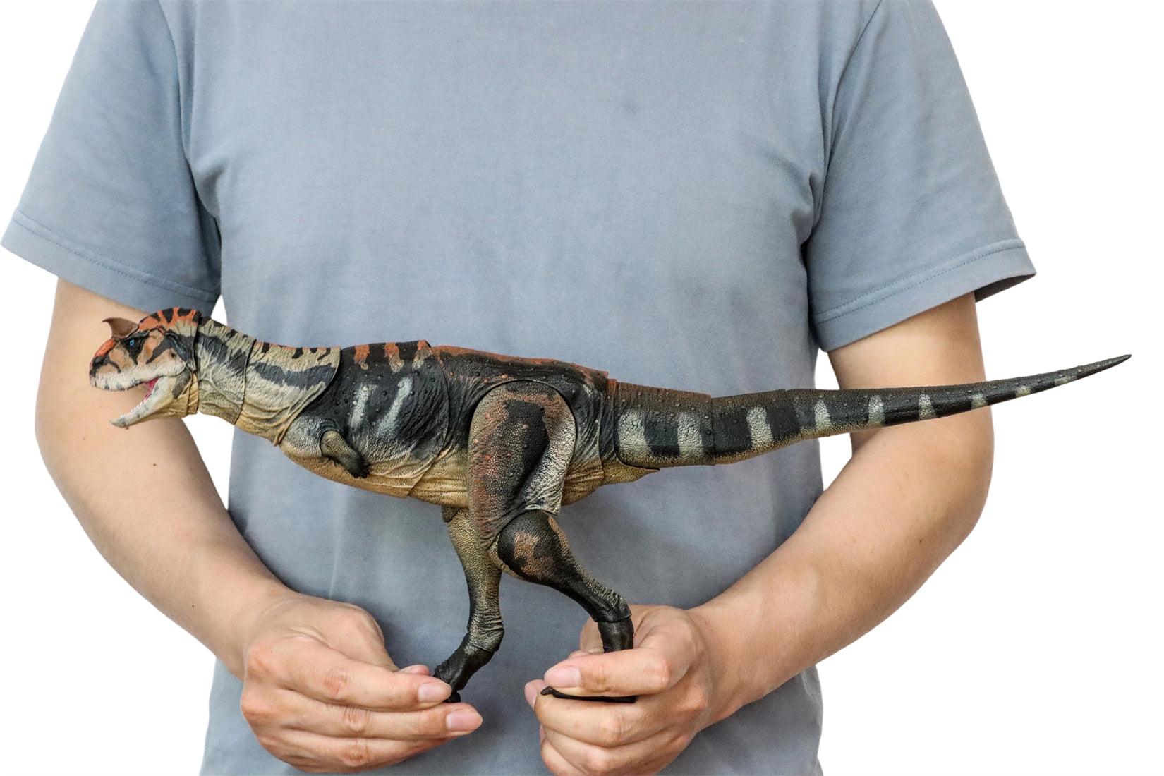 Beasts of the Mesozoic Carnotaurus sastrei - 1/18th scale action figure