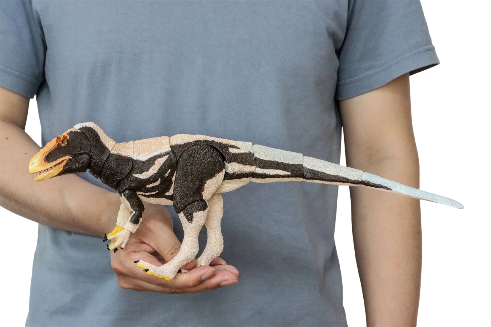 Beasts of the Mesozoic Yutyrannus huali 1/18th scale action figure Upgraded Version
