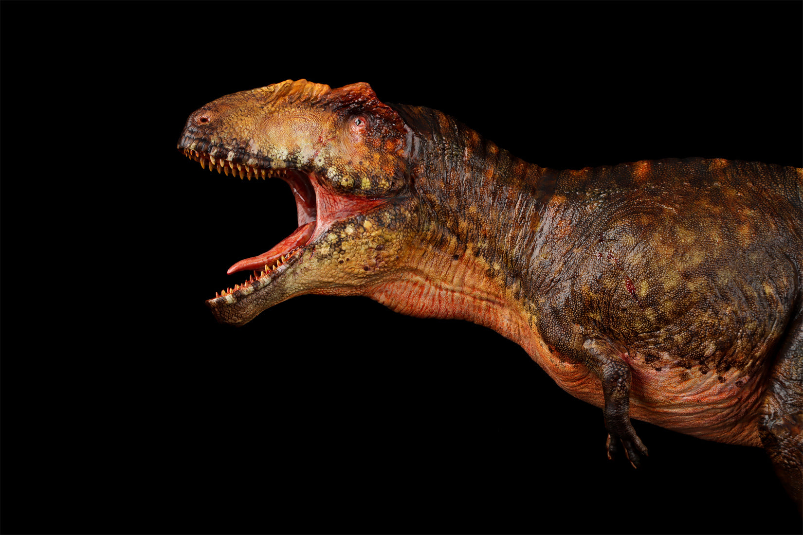 Anningpale 1/35 Scale Tyrannotitan chubutensis Model
