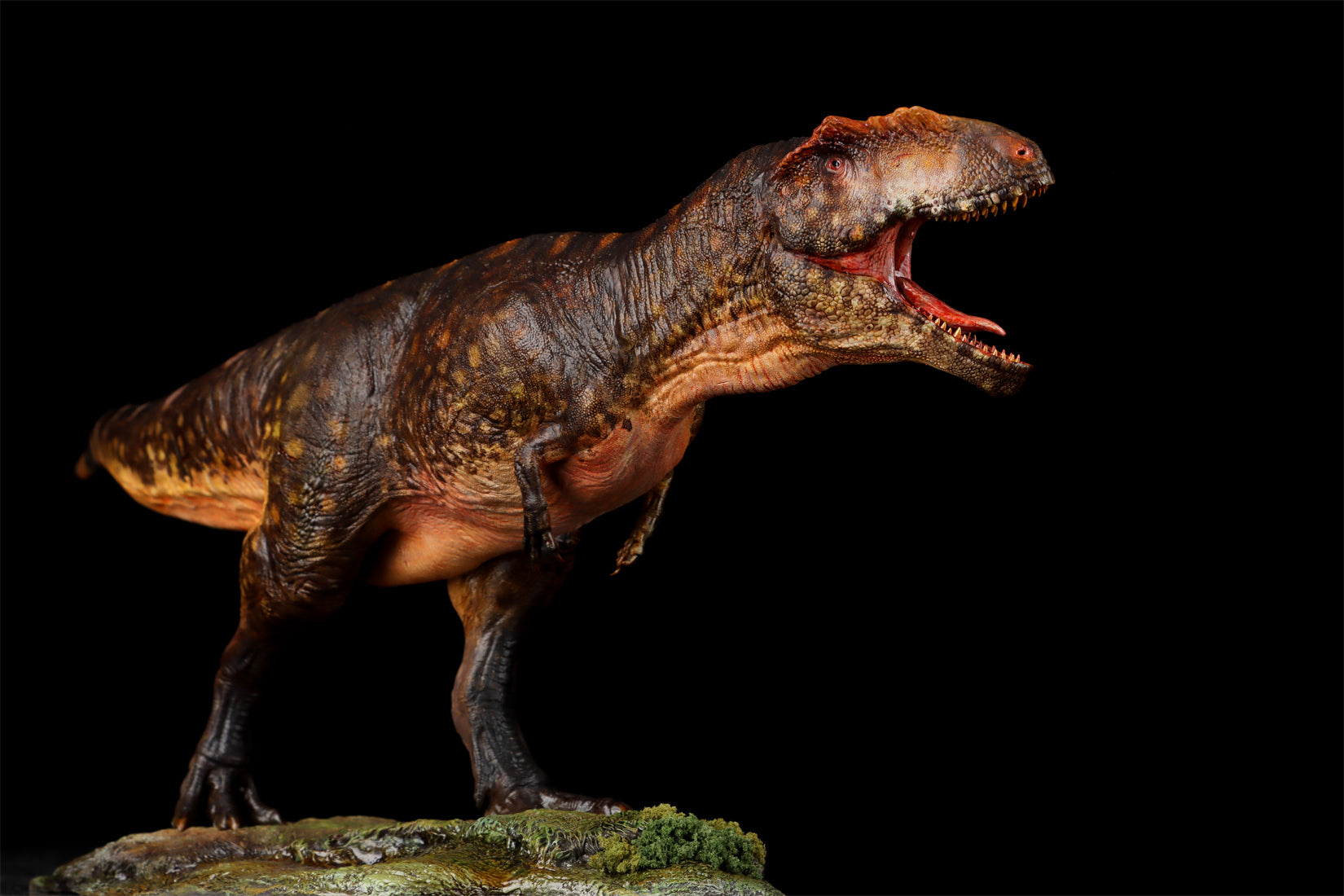 Anningpale 1/35 Scale Tyrannotitan chubutensis Model
