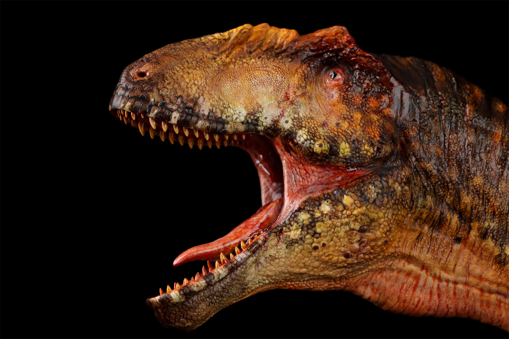 Anningpale 1/35 Scale Tyrannotitan chubutensis Model