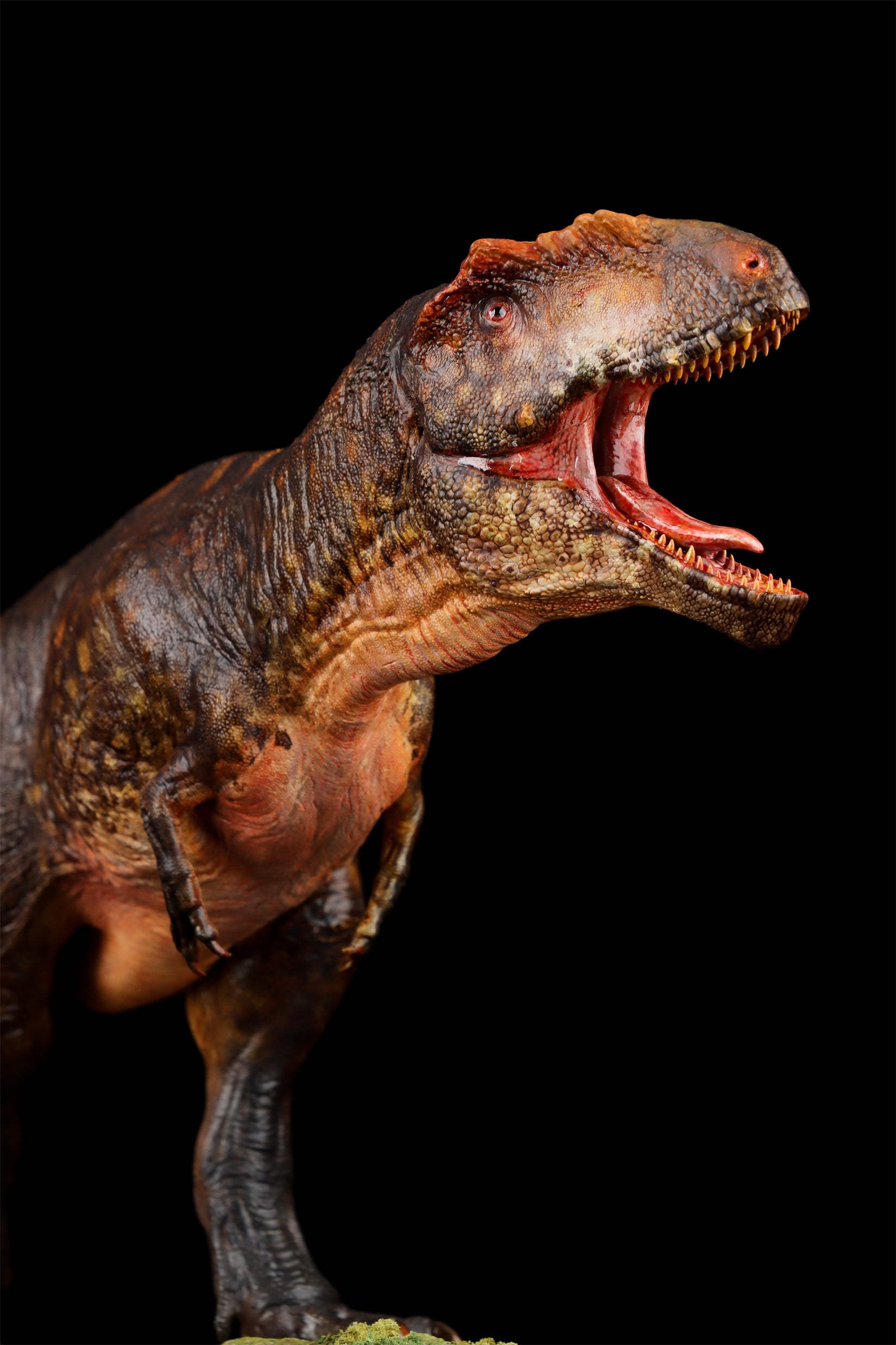 Anningpale 1/35 Scale Tyrannotitan chubutensis Model