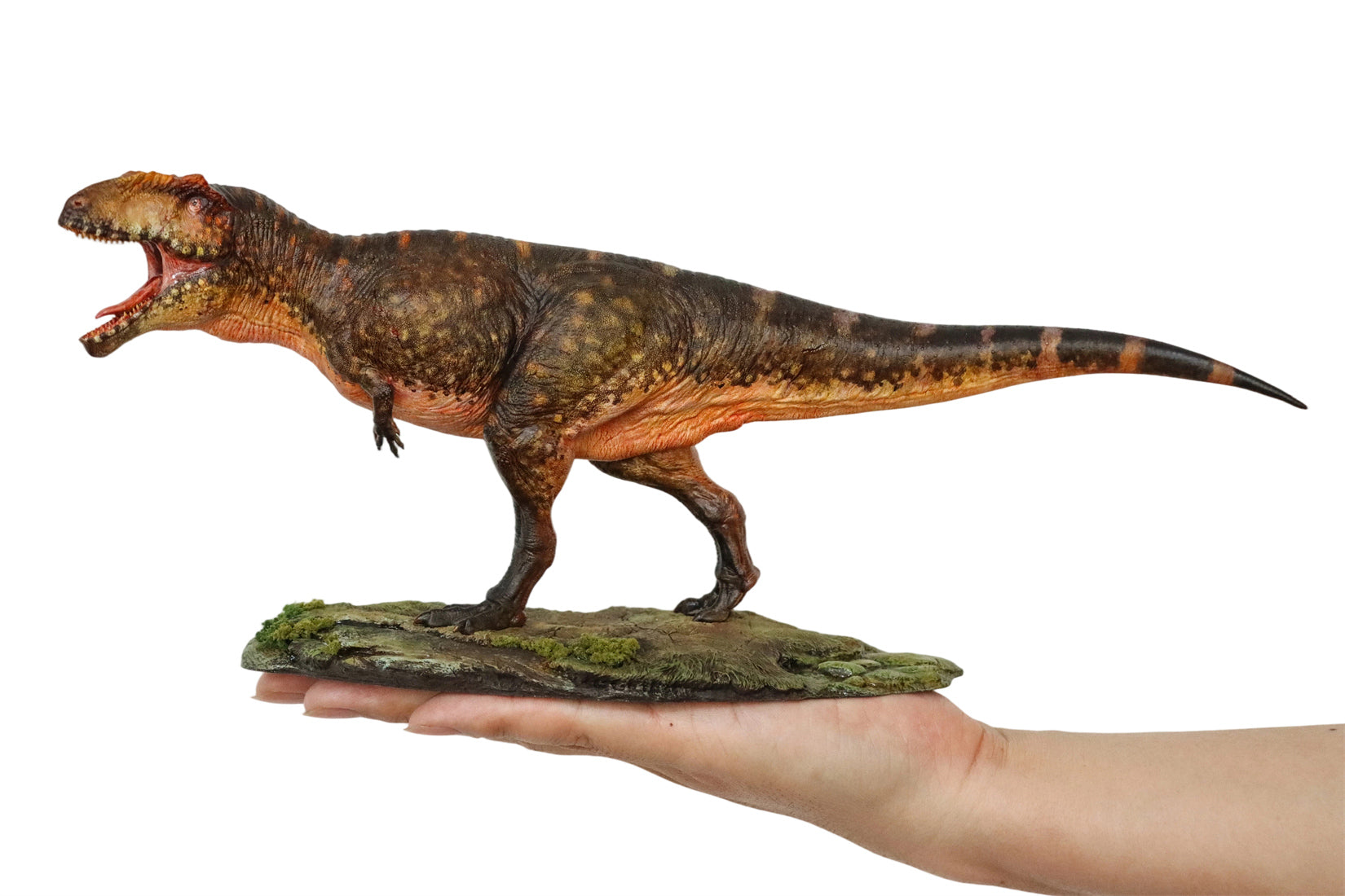Anningpale 1/35 Scale Tyrannotitan chubutensis Model