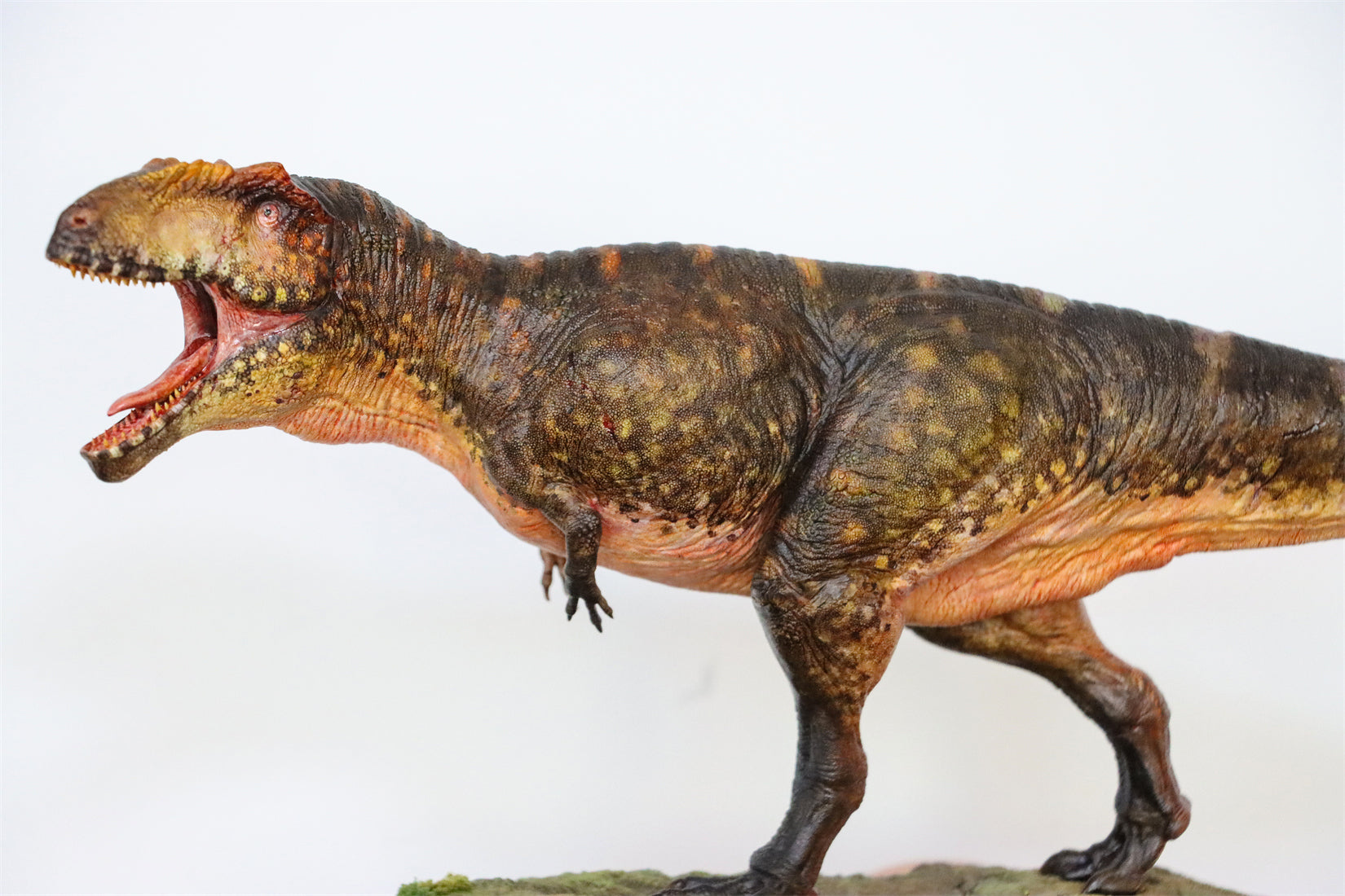 Anningpale 1/35 Scale Tyrannotitan chubutensis Model