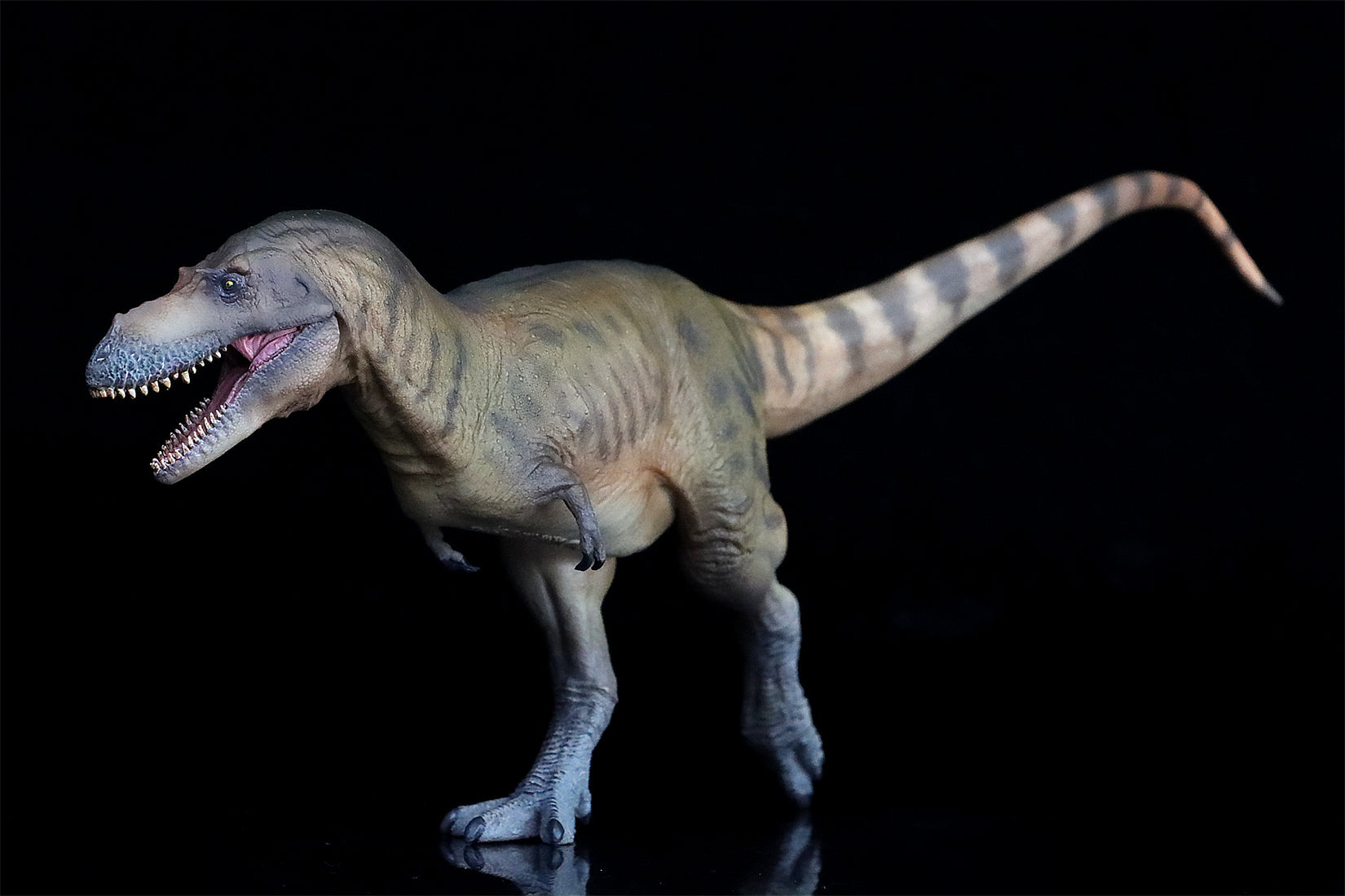 PNSO Albertosaurus Wally Model
