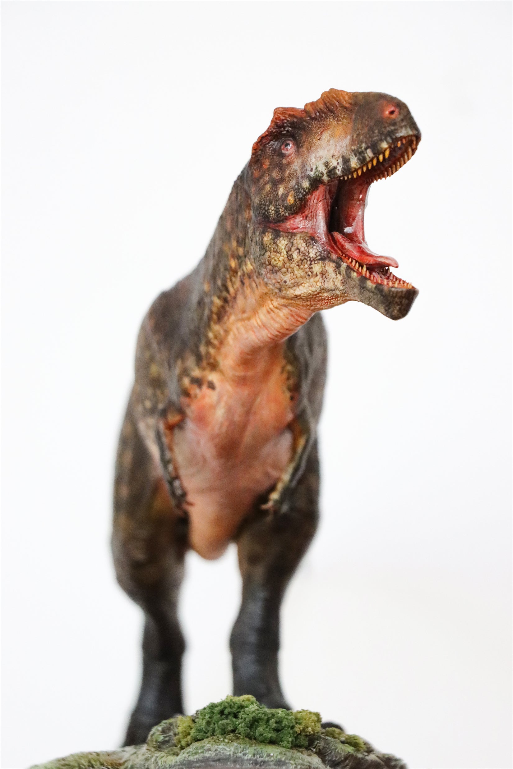 Anningpale 1/35 Scale Tyrannotitan chubutensis Model