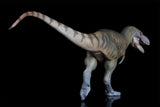 PNSO Albertosaurus Wally Model