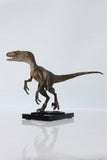 DINO DREAM Velociraptor Statue