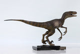 DINO DREAM Velociraptor Statue