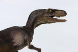 DINO DREAM Velociraptor Statue