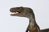 DINO DREAM Velociraptor Statue