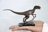 DINO DREAM Velociraptor Statue