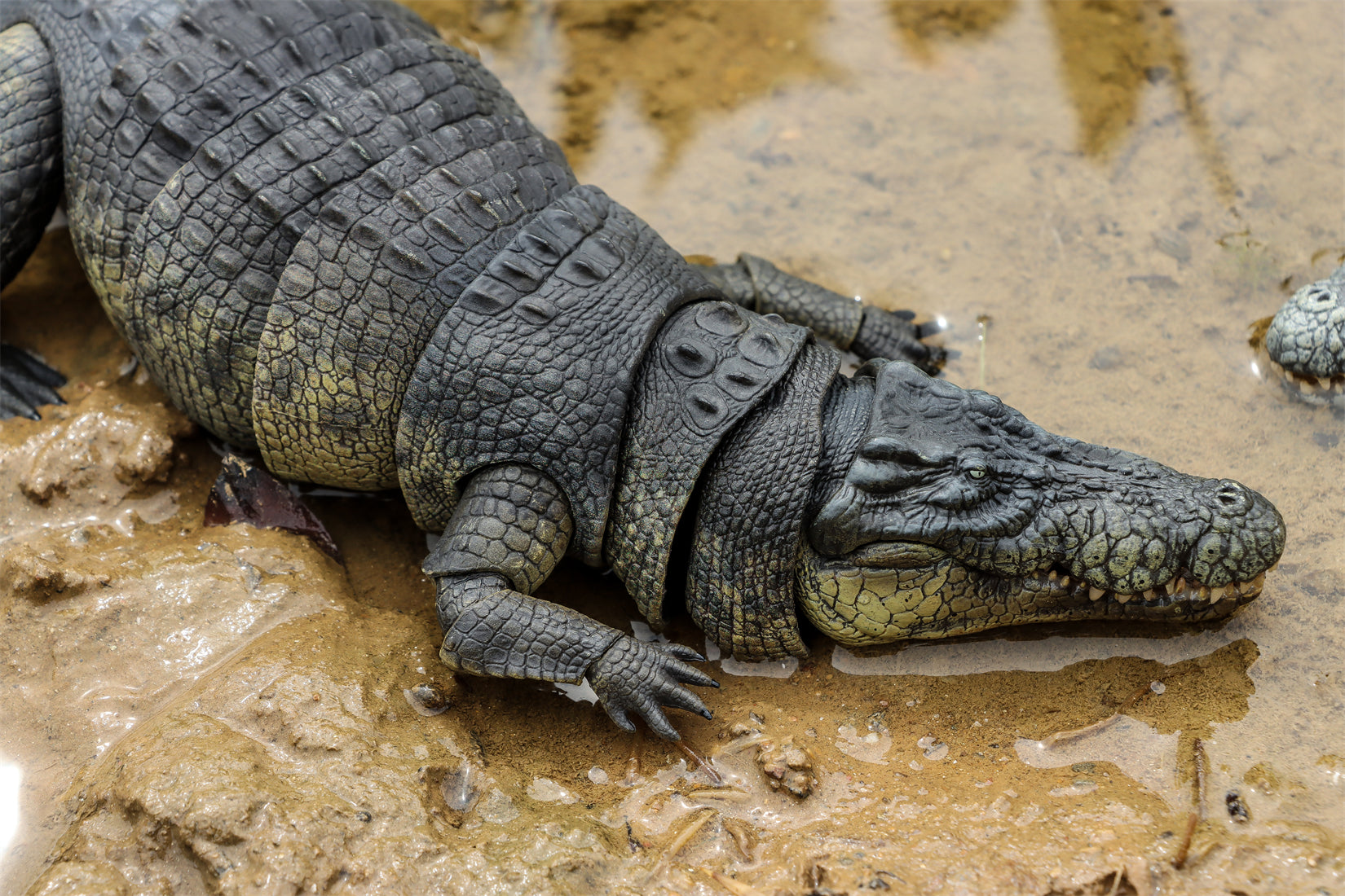 Nanmu Studio Saltwater Crocodile Action Figure