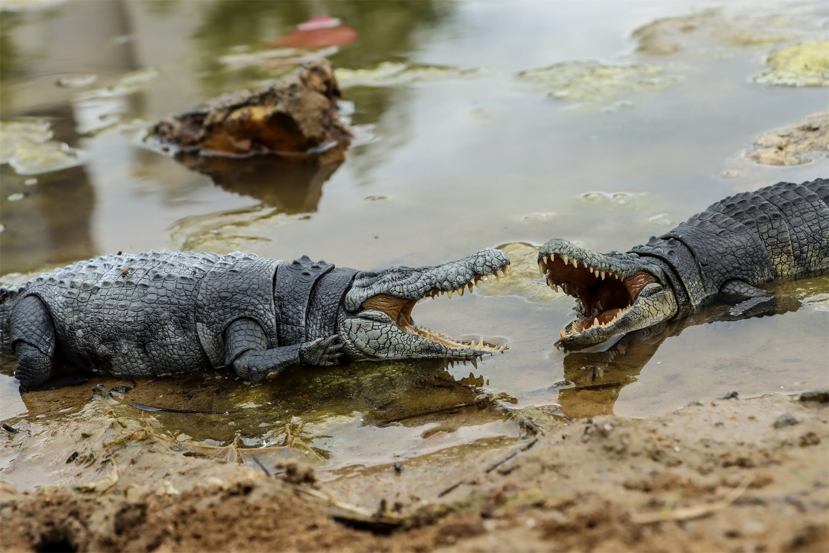 Nanmu Studio Saltwater Crocodile Action Figure