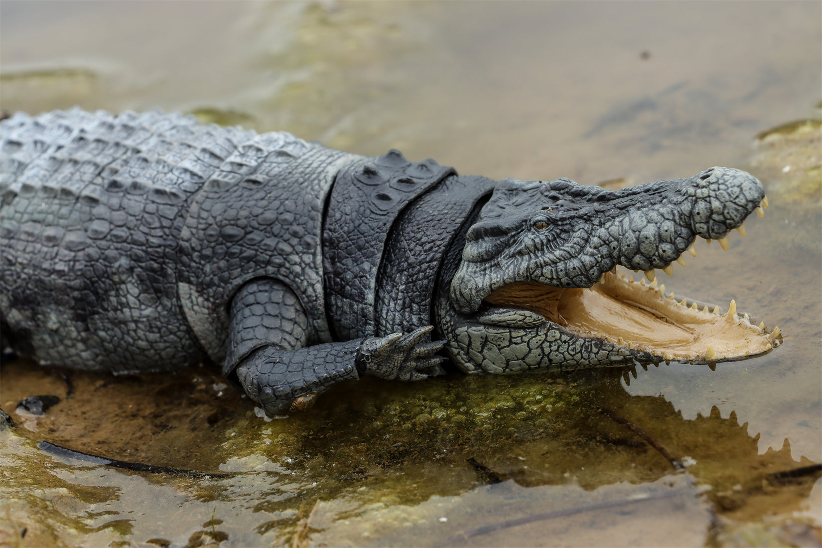 Nanmu Studio Saltwater Crocodile Action Figure