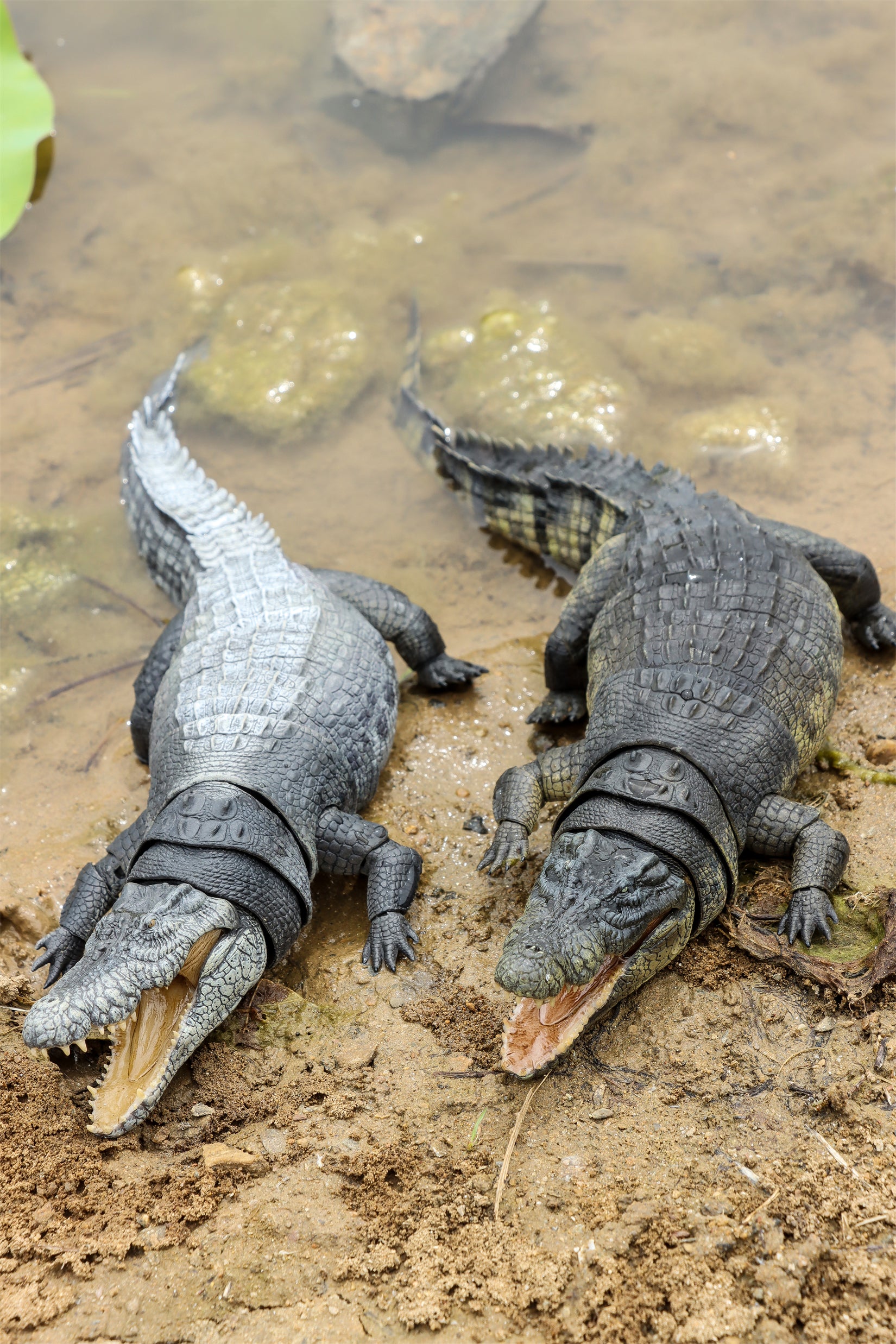 Nanmu Studio Saltwater Crocodile Action Figure