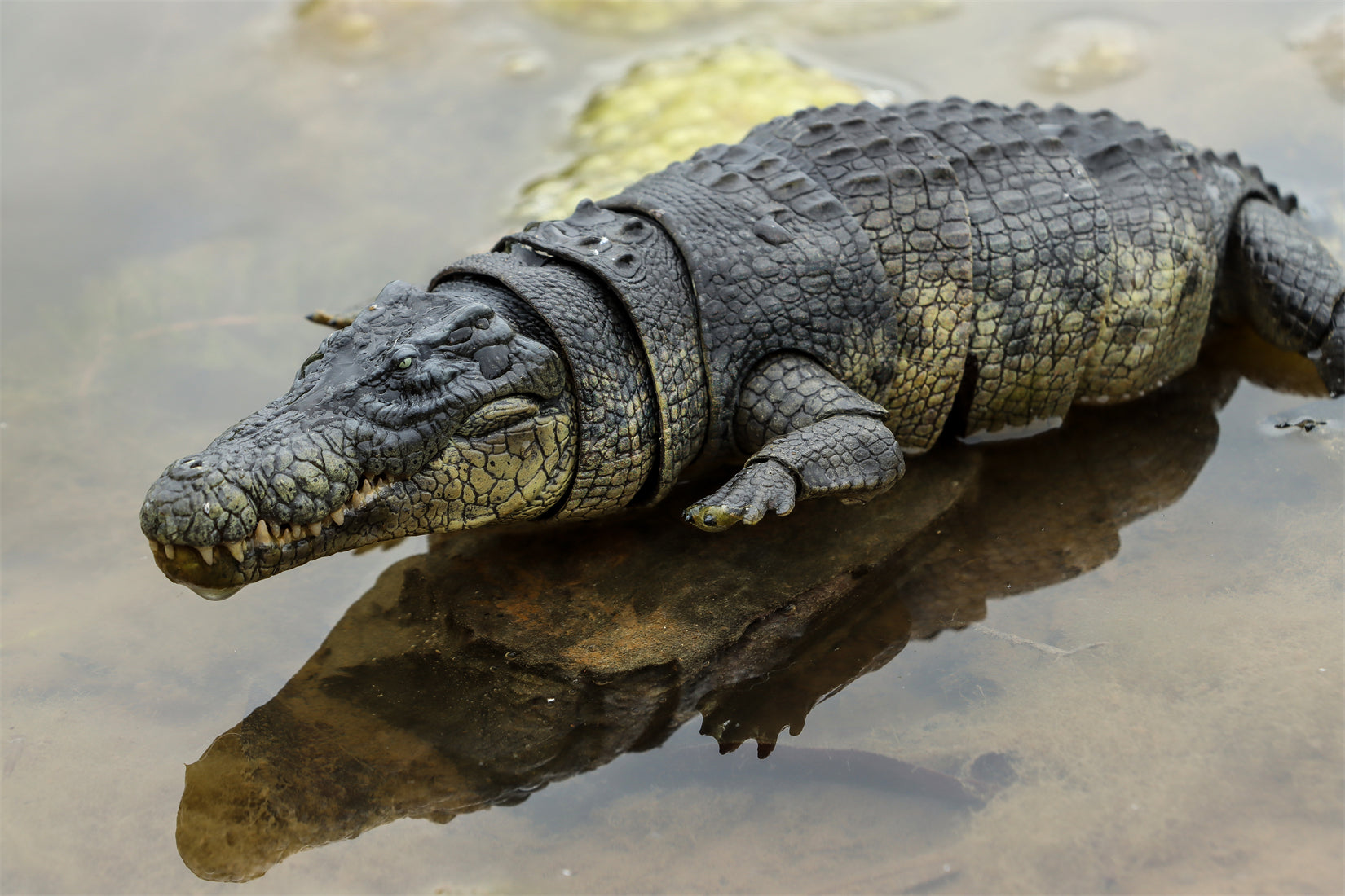 Nanmu Studio Saltwater Crocodile Action Figure