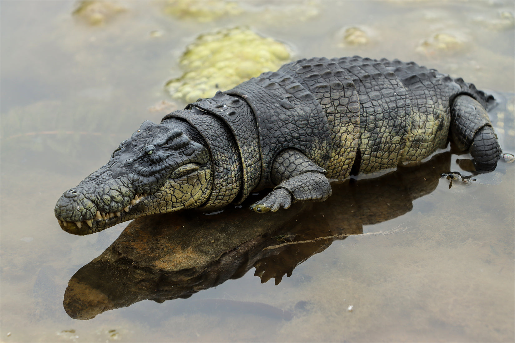Nanmu Studio Saltwater Crocodile Action Figure