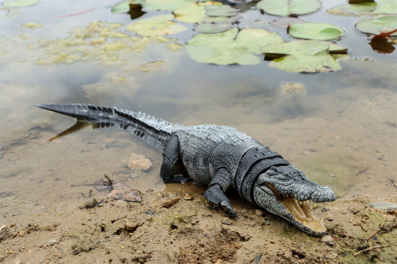 Nanmu Studio Saltwater Crocodile Action Figure