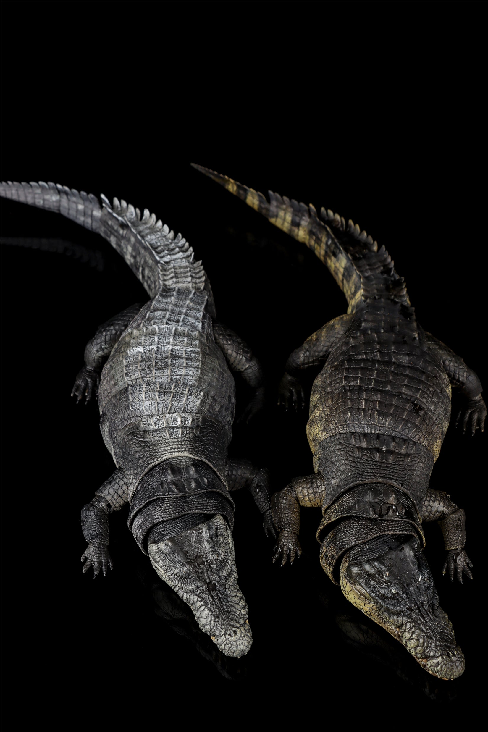 Nanmu Studio Saltwater Crocodile Action Figure