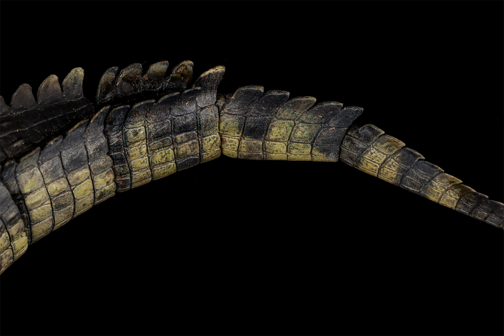 Nanmu Studio Saltwater Crocodile Action Figure
