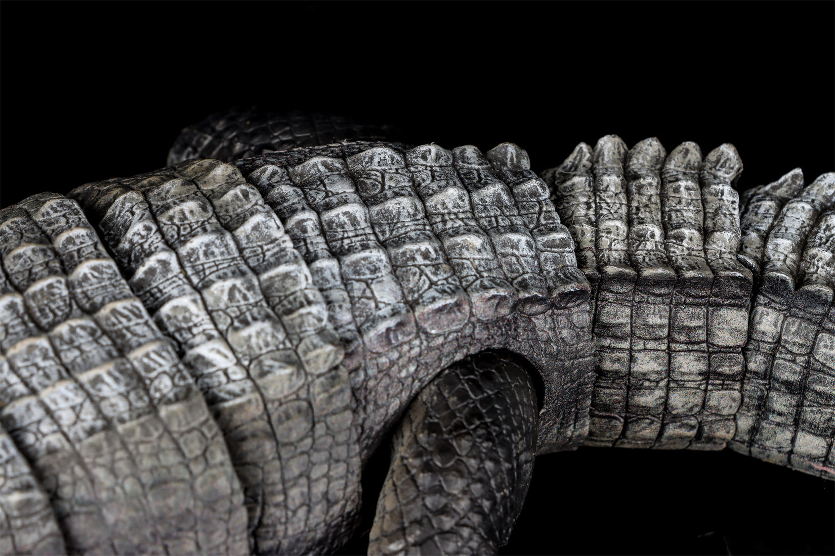 Nanmu Studio Saltwater Crocodile Action Figure