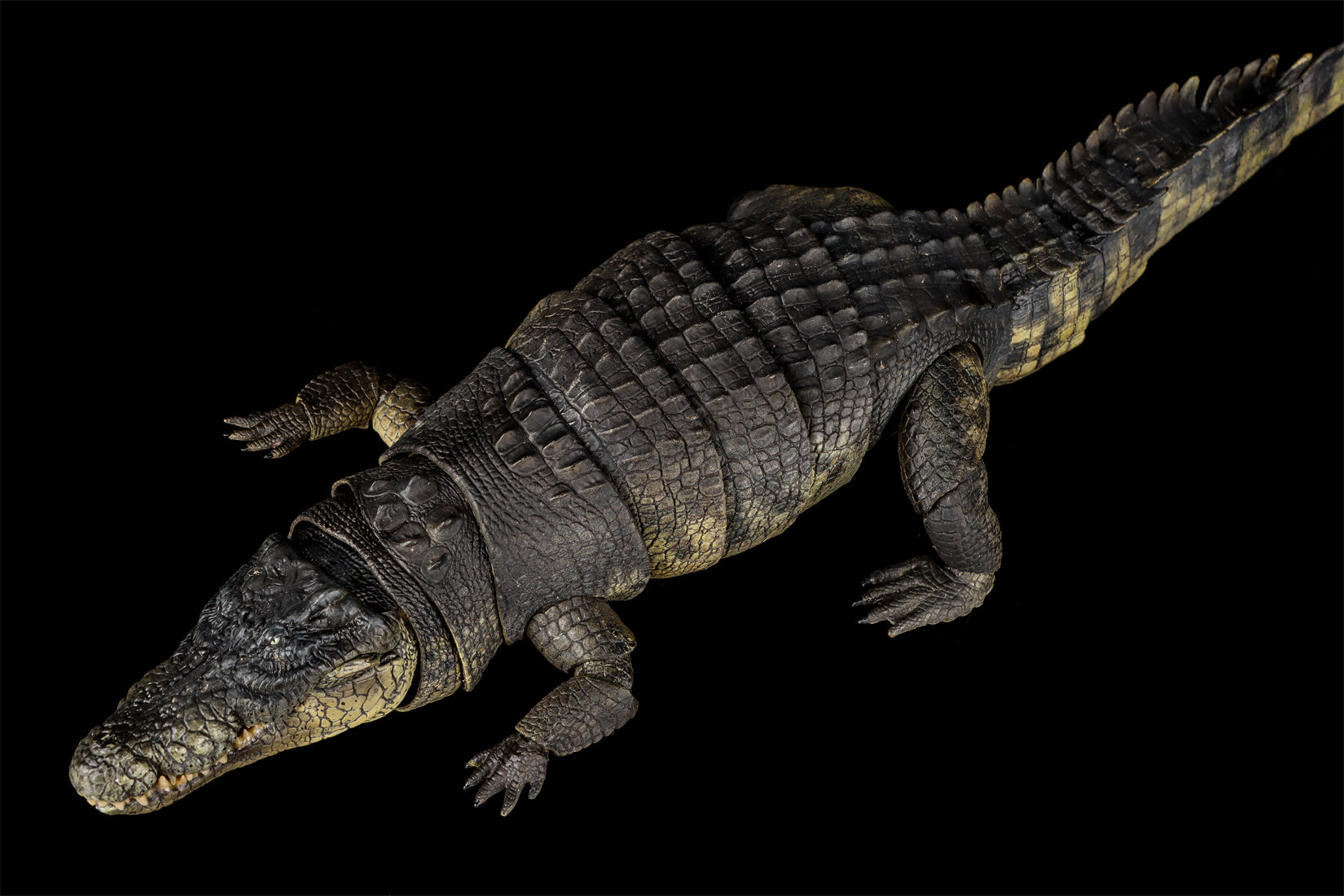 Nanmu Studio Saltwater Crocodile Action Figure