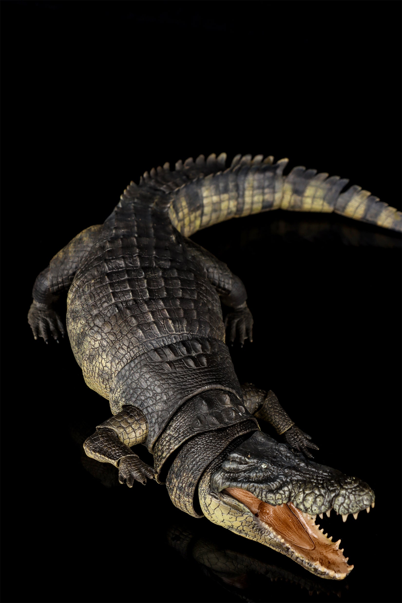 Nanmu Studio Saltwater Crocodile Action Figure