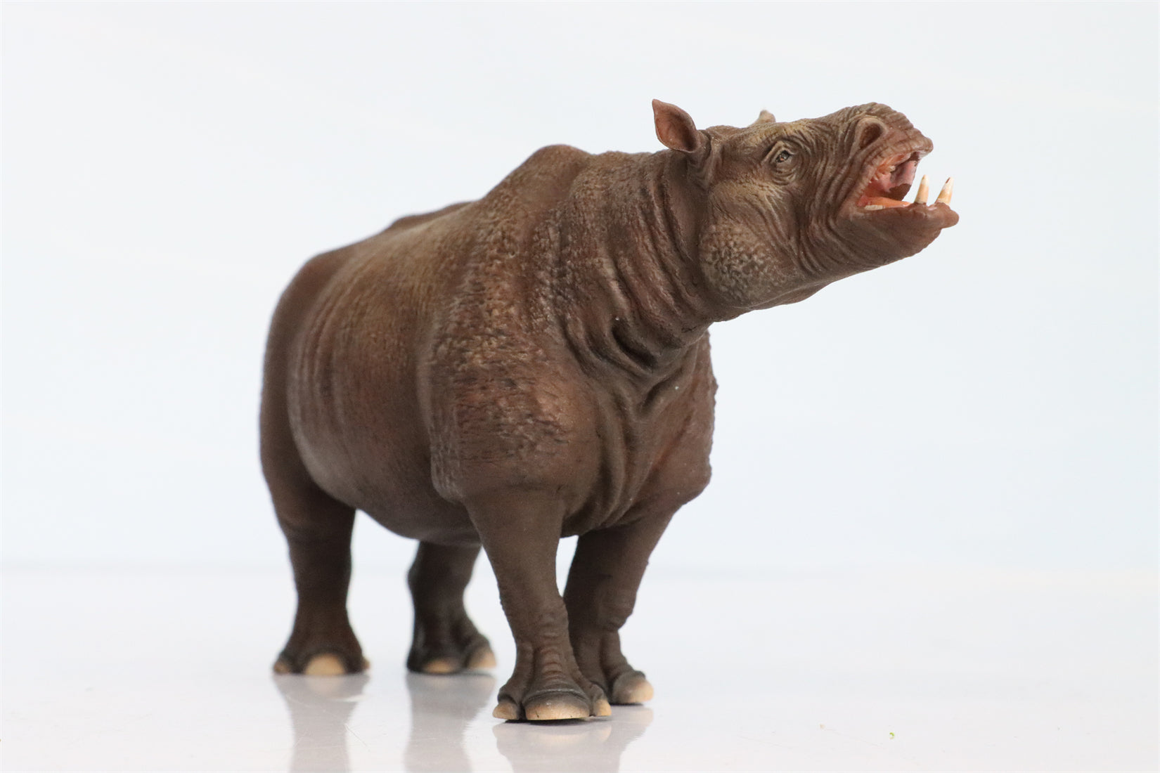 DINONE STUDIO 1/20 Chilotherium Statue
