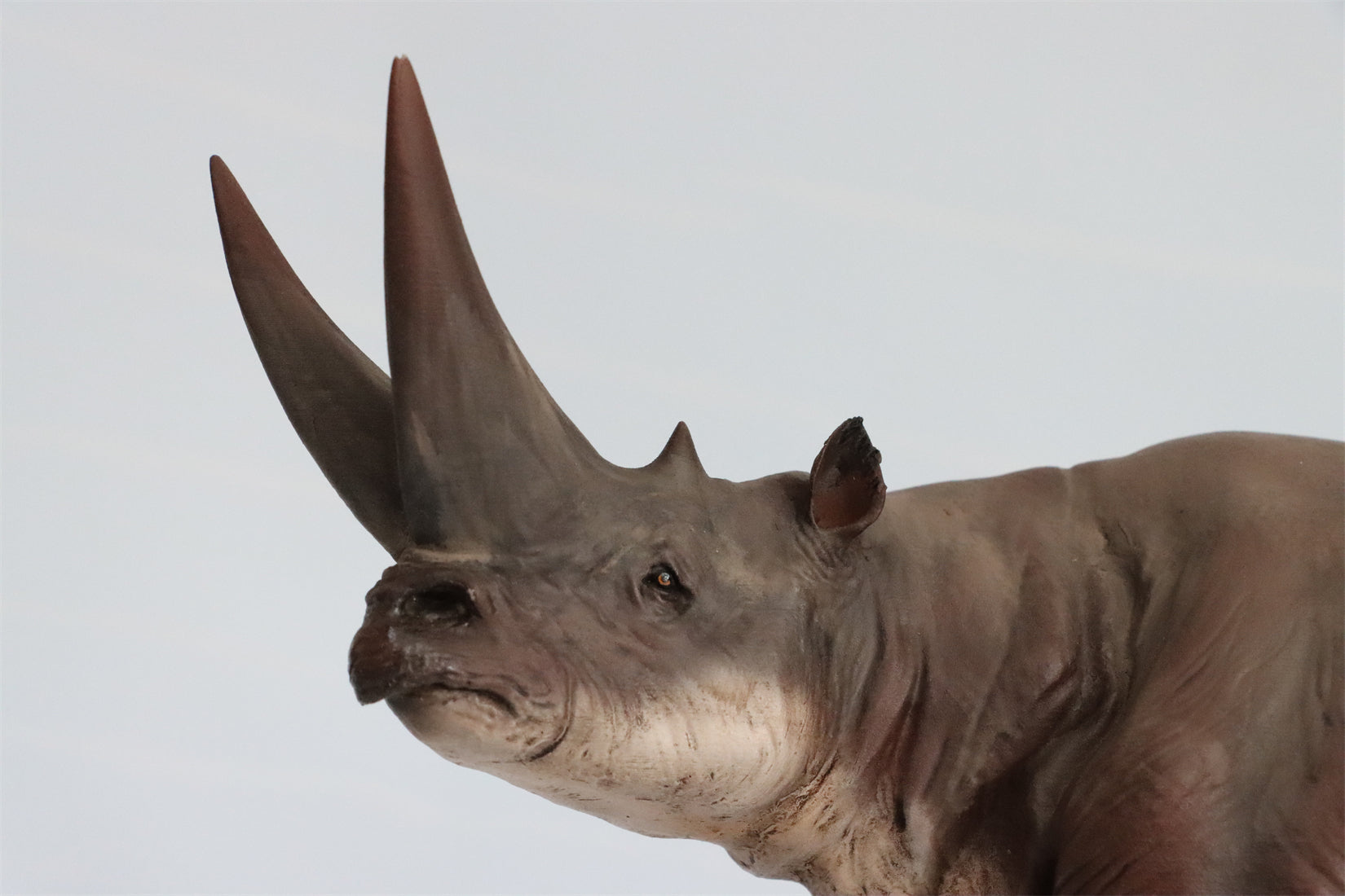 DINONE STUDIO 1/20 Arsinoitherium Statue Palaeoloxodon Model