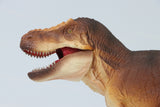 RECUR 1:35 Scale Tyrannosaurus Osborne Model